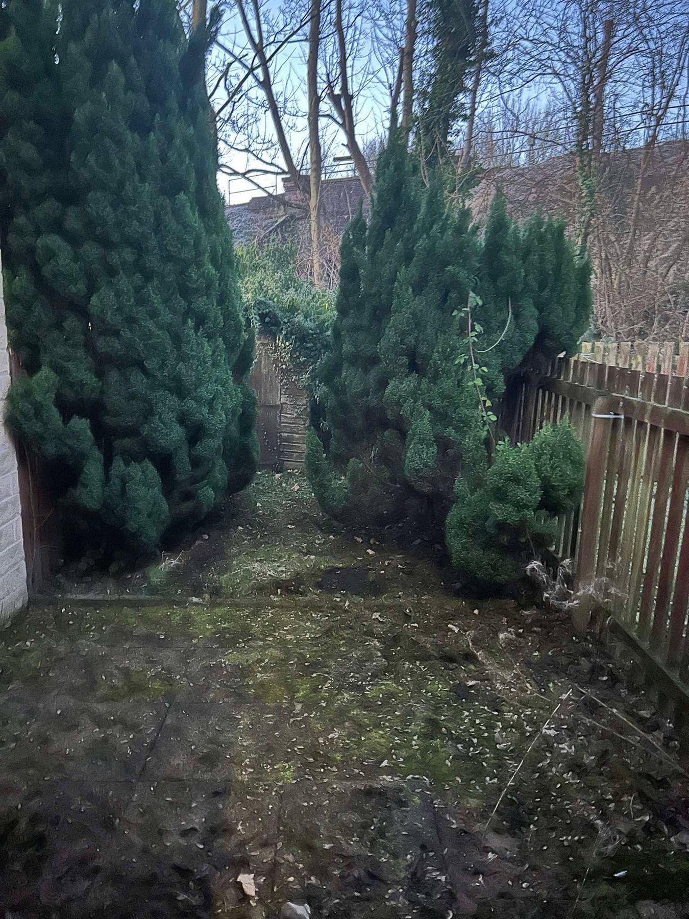 Top Gun & Son recent project 43